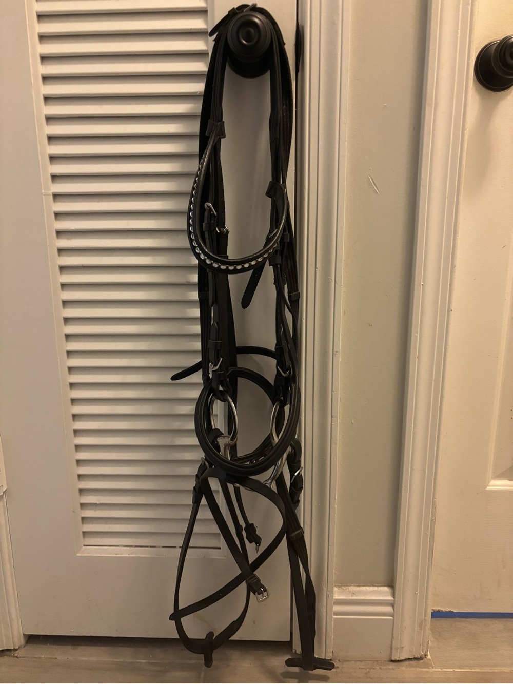 DaVinci Dressage Bridle with bling brow band